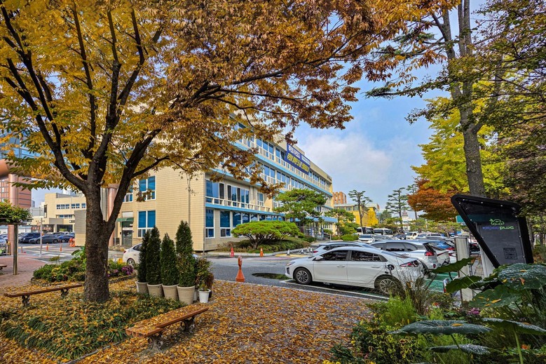 대전 중구, 정보공개 종합평가 7년 ...