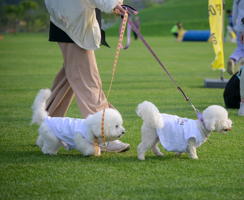 순천시, 동물등록비용·길고양이 중성화...