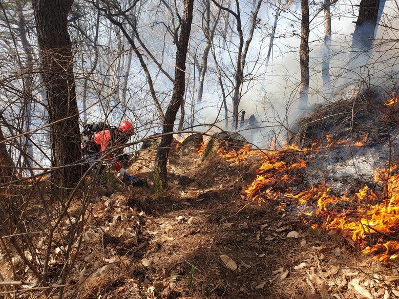 함양군 마천면 산불... 23일 12...